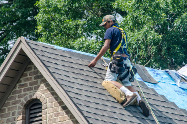 Professional Roofing Contractor in Sweetwater, TN